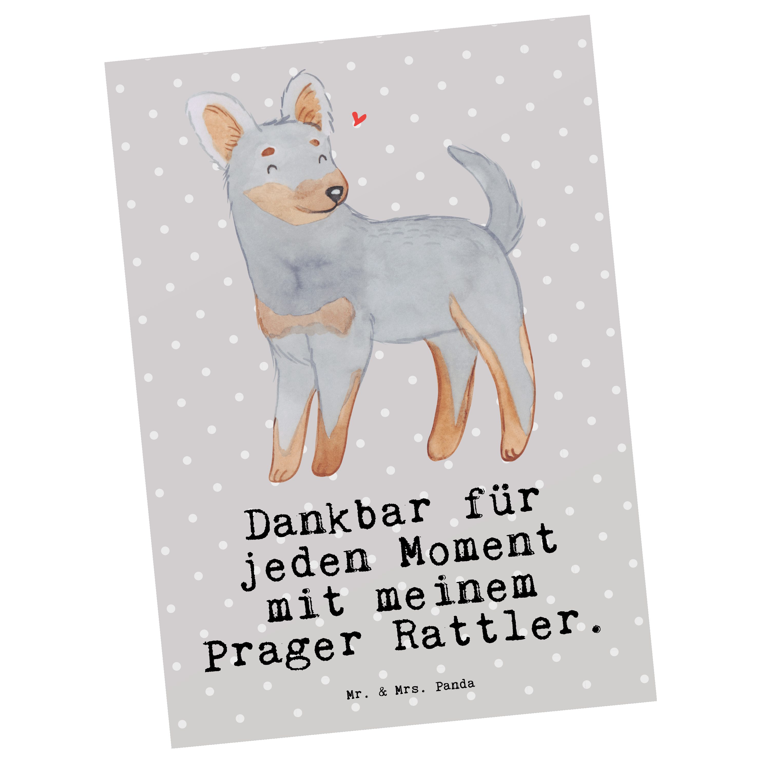 Mr. & Mrs. Panda Postkarte Prager Rattler Moment - Grau Pastell - Geschenk, Grußkarte, Ansichtsk