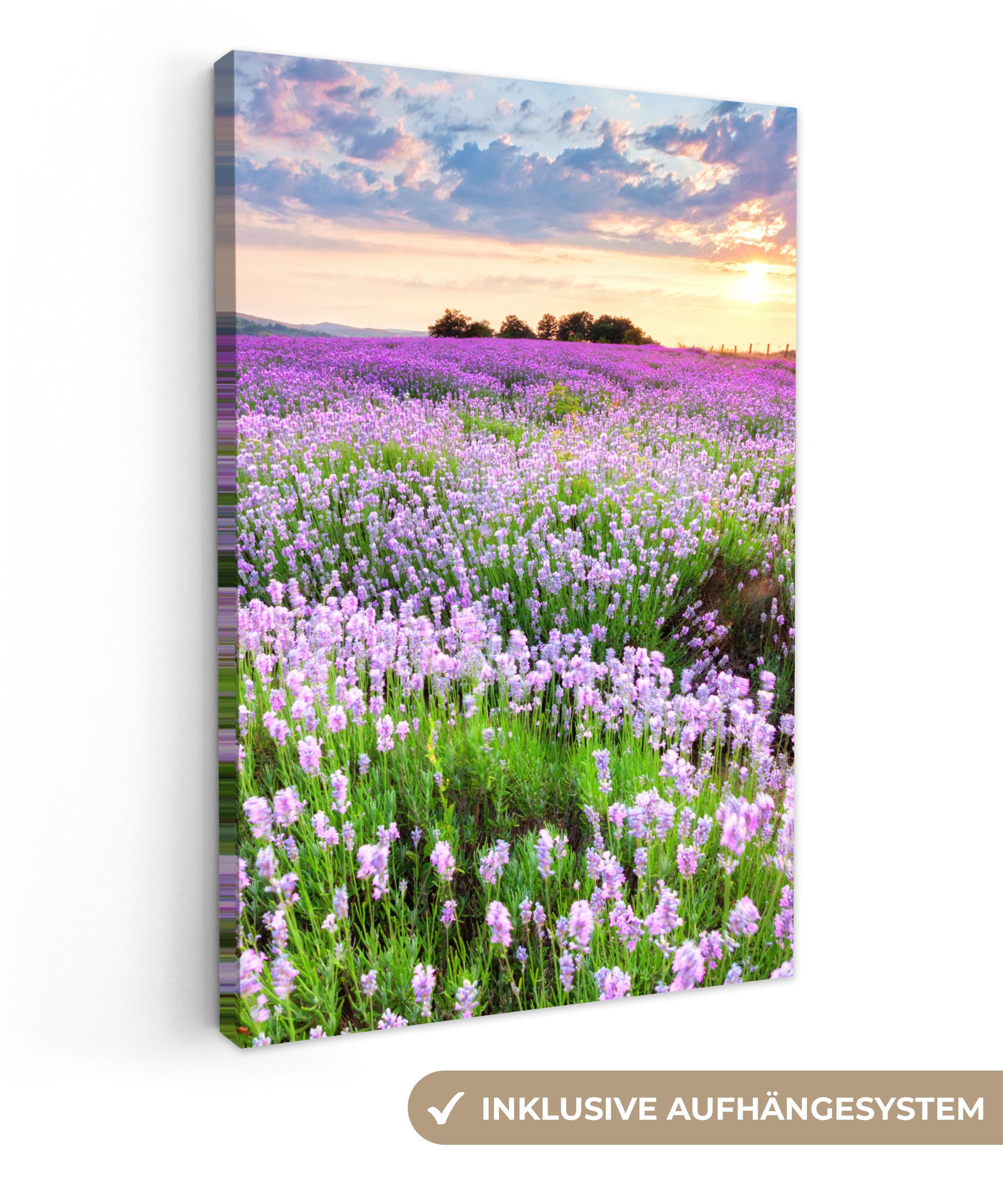 OneMillionCanvasses® Leinwandbild Lavendel - Blumen - Sonnenuntergang - Lil günstig online kaufen
