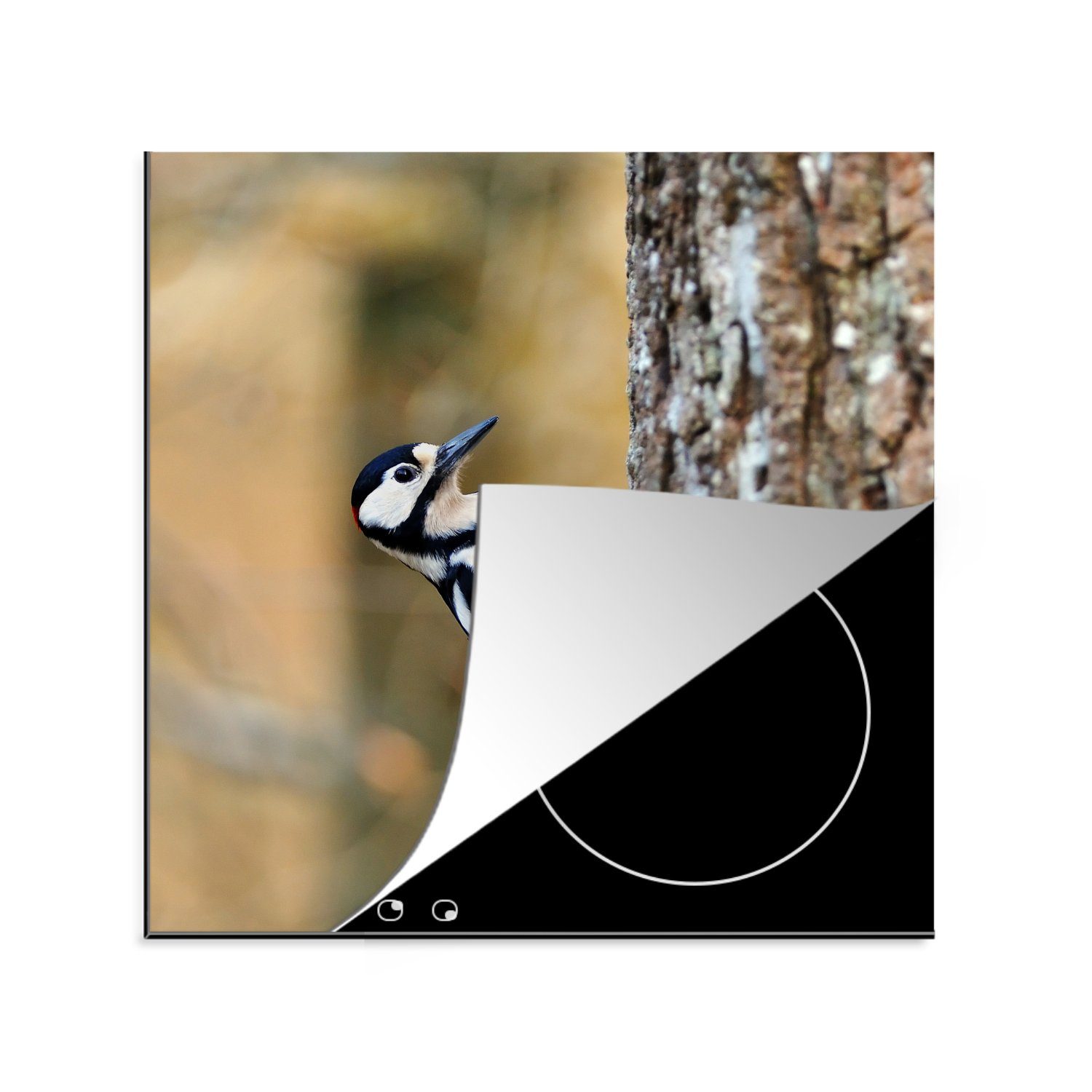 MuchoWow Herdblende-/Abdeckplatte Ein männlicher Buntspecht auf einem Baum, Vinyl, (1 tlg), 78x78 cm, Ceranfeldabdeckung, Arbeitsplatte für küche