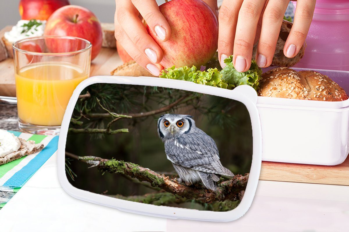 MuchoWow Lunchbox Eule und und weiß Natur, Brotbox Brotdose, Mädchen Äste Erwachsene, - für - Jungs (2-tlg), für Kunststoff, - Kinder Vogel