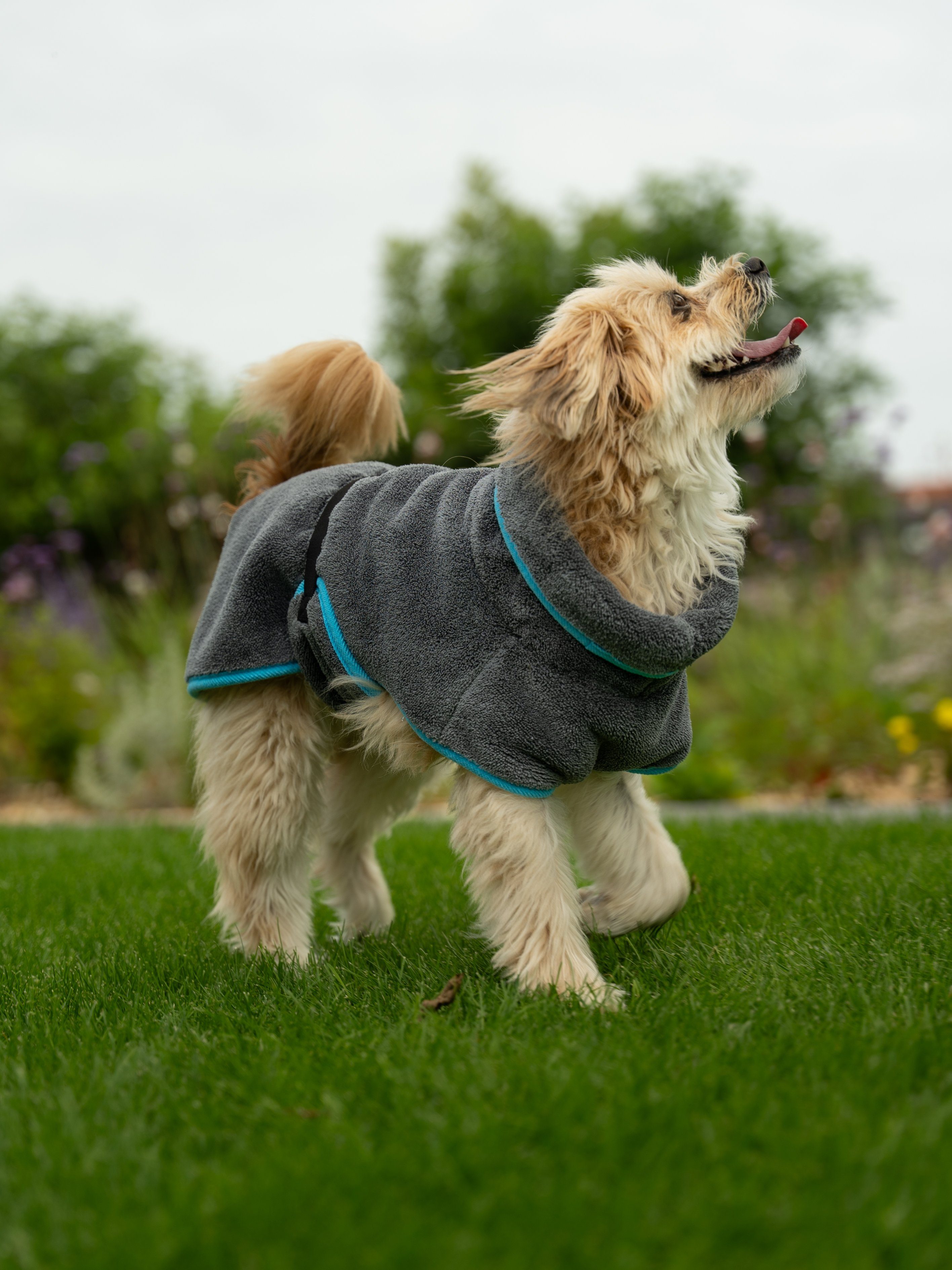 TrendPet Hundebademantel Dampfhund, 11 verschiedene Größen