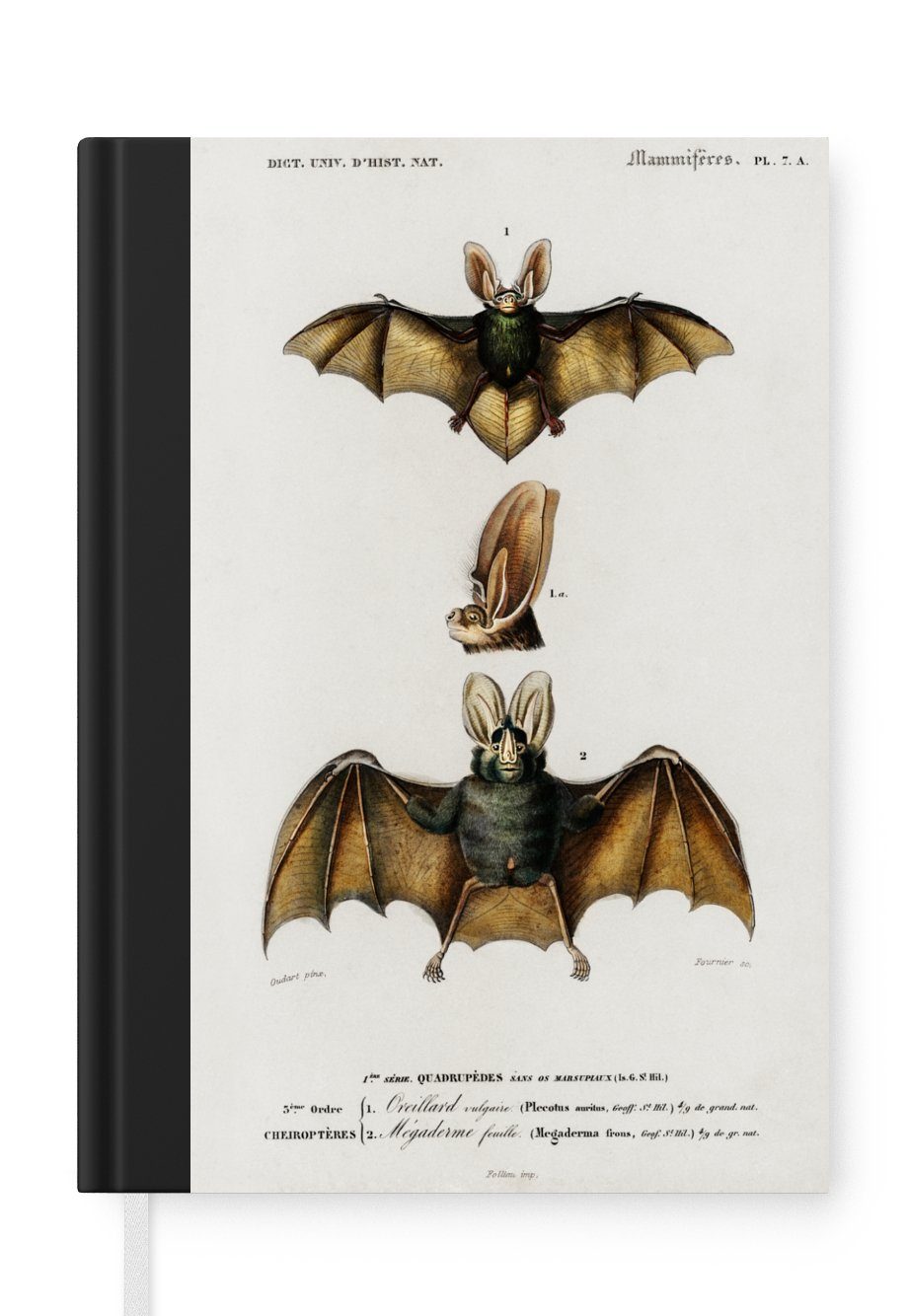 MuchoWow Notizbuch Fledermaus - Vintage - Tier, Journal, Merkzettel, Tagebuch, Notizheft, A5, 98 Seiten, Haushaltsbuch