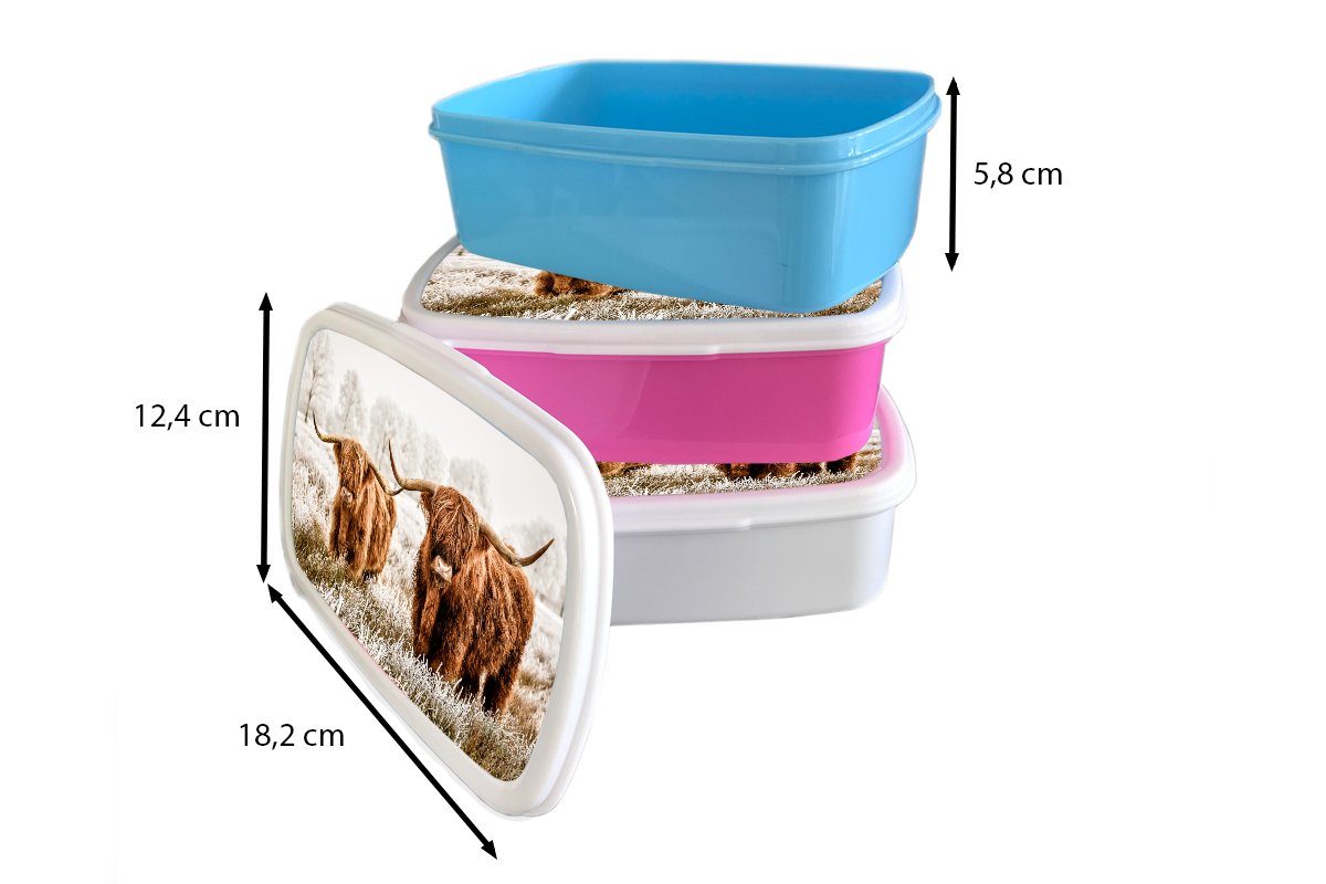 Brotdose - Kuh Brotbox Hochländer Schottischer Mädchen, Kinder, Lunchbox (2-tlg), - rosa Snackbox, Kunststoff Kunststoff, Natur MuchoWow Winter, - für Erwachsene,