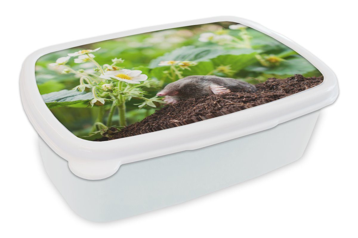 MuchoWow Lunchbox Tier - Garten - Maulwurf, Kunststoff, (2-tlg), Brotbox für Kinder und Erwachsene, Brotdose, für Jungs und Mädchen weiß