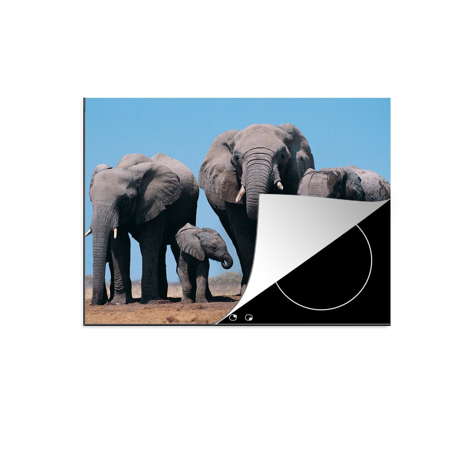 MuchoWow Herdblende-/Abdeckplatte Elefant - Prärie - Tiere - Natur, Vinyl, (1 tlg), 59x52 cm, Ceranfeldabdeckung für die küche, Induktionsmatte