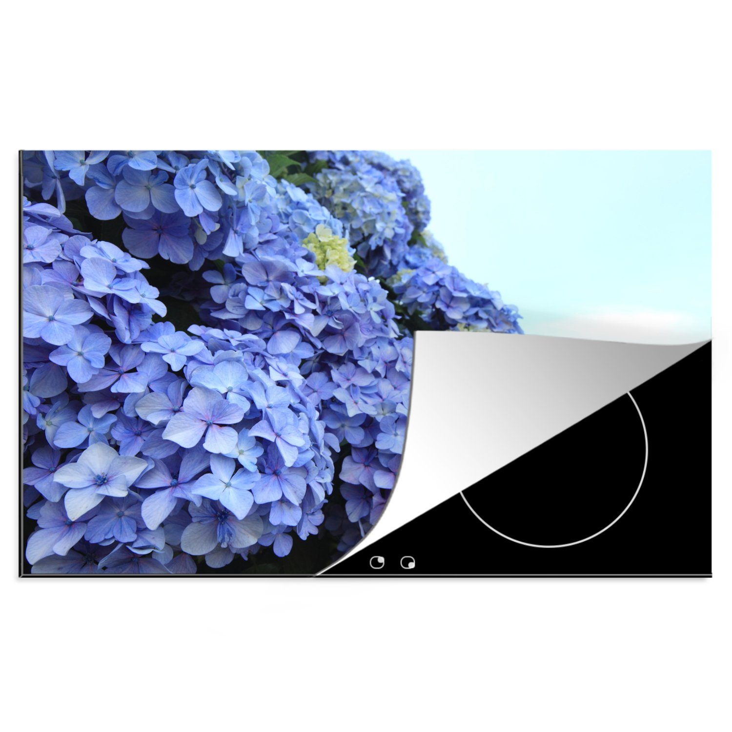 MuchoWow Herdblende-/Abdeckplatte Hortensienblüten, Vinyl, (1 tlg), 81x52 cm, Induktionskochfeld Schutz für die küche, Ceranfeldabdeckung