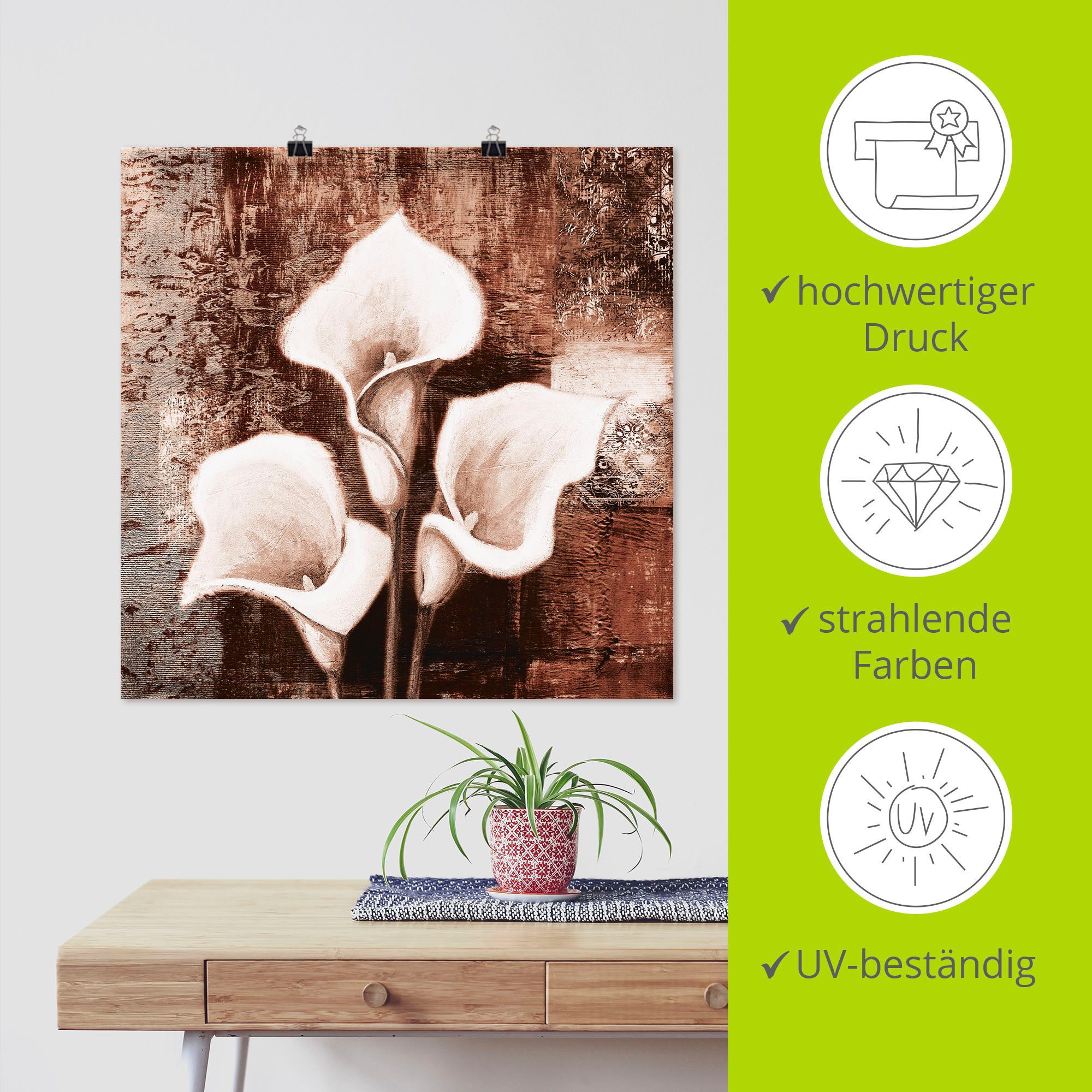 Artland Poster Antike Callas - braun, Blumen (1 St), ohne Rahmen