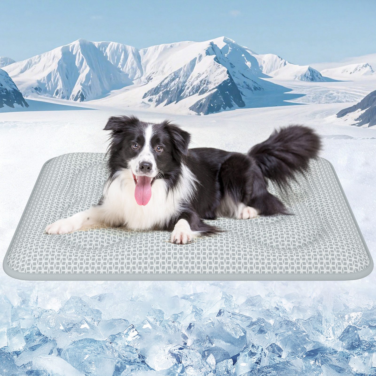 Rywell Hundematte Kühlmatte für Hunde Katze, Selbstkühlende kühlmatte hund mit Arc-Chill, Arc-Chill-Gewebe, temperaturabhängig, atmungsaktiv, Waschbar Kühldecke für Hund/Katze leicht zu reinigen faltbar dick