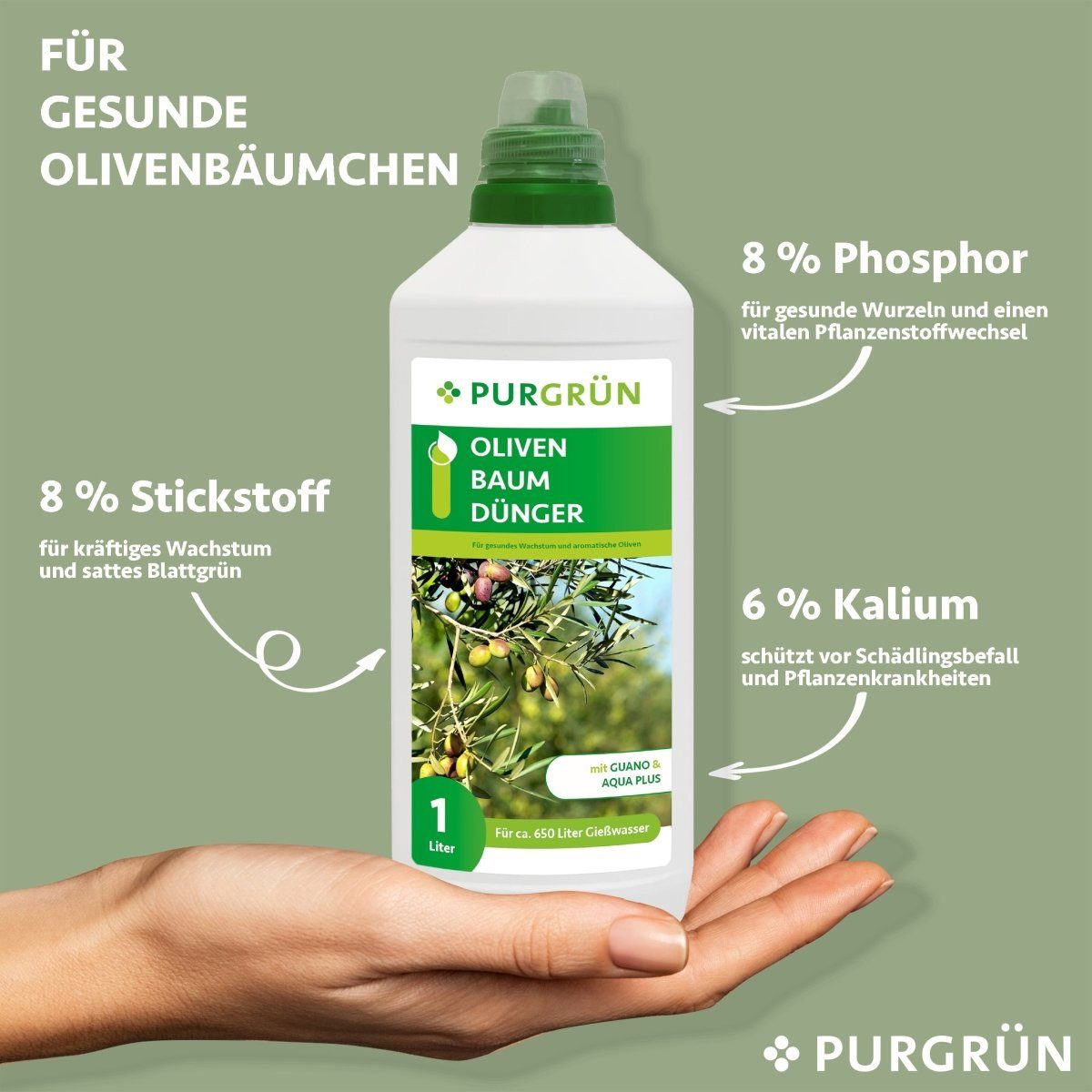 Purgrün Obstdünger Purgrün Olivenbaum Dünger, NPK günstig online kaufen