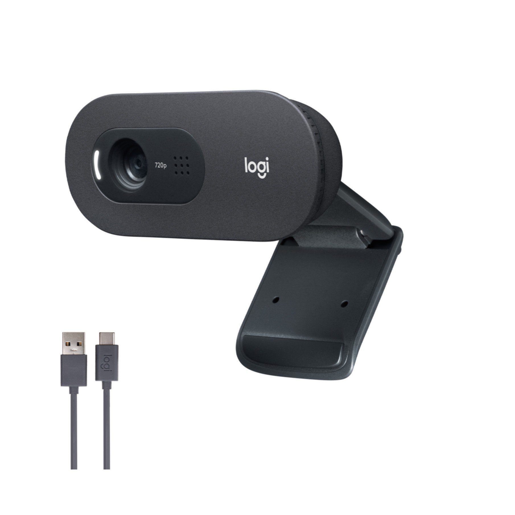 Logitech C505 HD Webcam