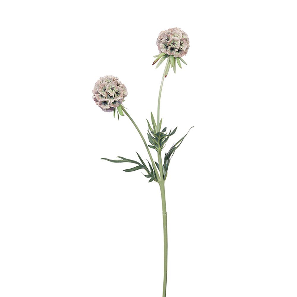 hellgrün-rose H. B. - Kunstblume Kunstpflanze 55cm Scabiosa 10cm, x FINK Fink -