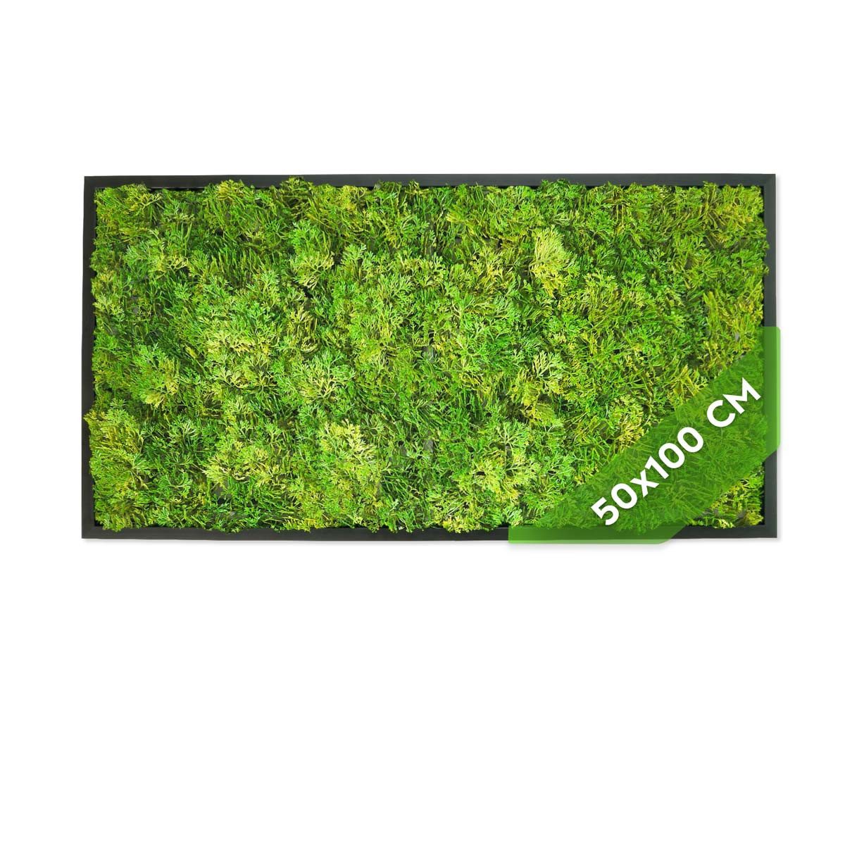 Kunstpflanze Künstliche Pflanzenwand Indoor & Outdoor, Blumenwand mit Rahmen Moos, JELLE & JACOB, Höhe 100 cm, pflegeleicht & langlebig im Kunststoff-Rahmen Schwarz