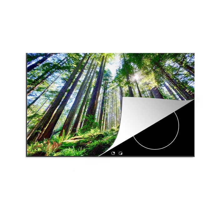 MuchoWow Herdblende-/Abdeckplatte Hervorragendes Bild von Redwood-Bäumen mit Sonnenstrahlen Vinyl (1 tlg) Ceranfeldabdeckung für die küche Induktionsmatte