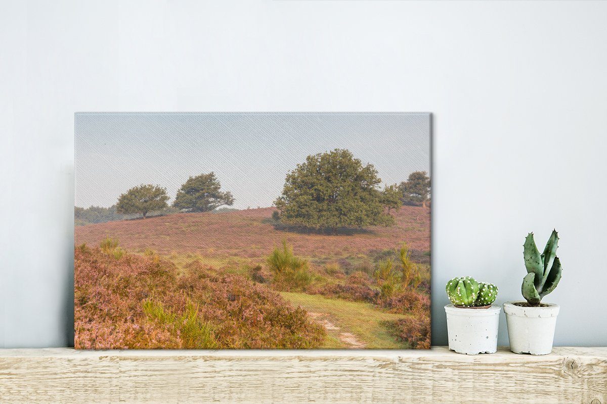 30x20 in Aufhängefertig, Nationalpark cm Gelderland, Wanderweg Leinwandbild St), OneMillionCanvasses® (1 Wandbild im Ein Veluwezoom Leinwandbilder, Wanddeko,