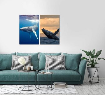 Sinus Art Leinwandbild 2 Bilder je 60x90cm Blauwal Ozean Wal Riese Unterwasser Majestätisch Gigantisch
