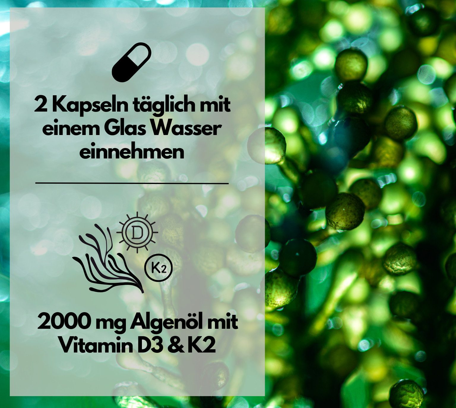 Omega 3 + D3 & K2 Kapseln aus Algenöl, hochdosiert & vegan, 120 Stück Kapseln, 183 g