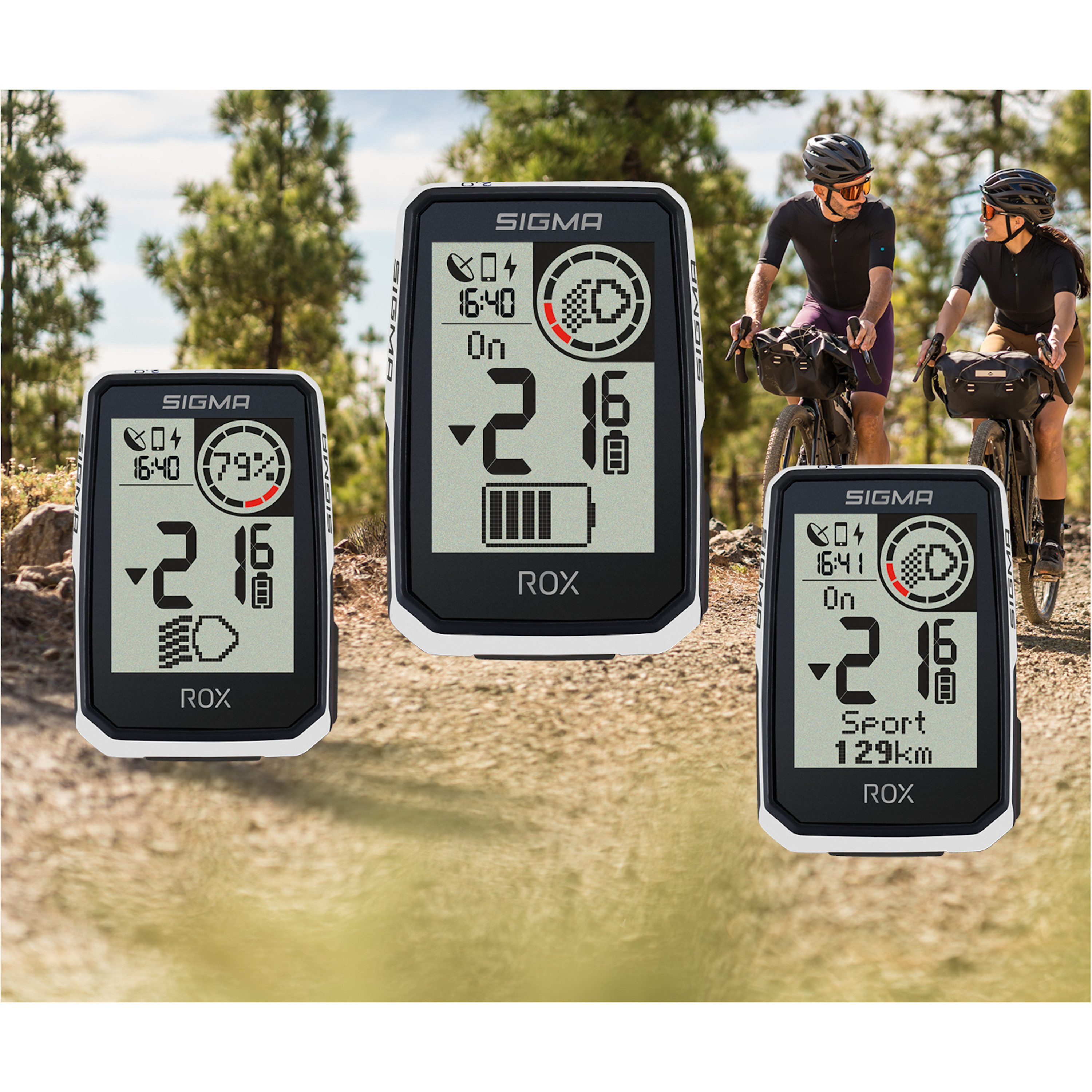 SIGMA Fahrradcomputer Rox 2.0 Endurance GPS Fahrradtacho Fahrradnavi