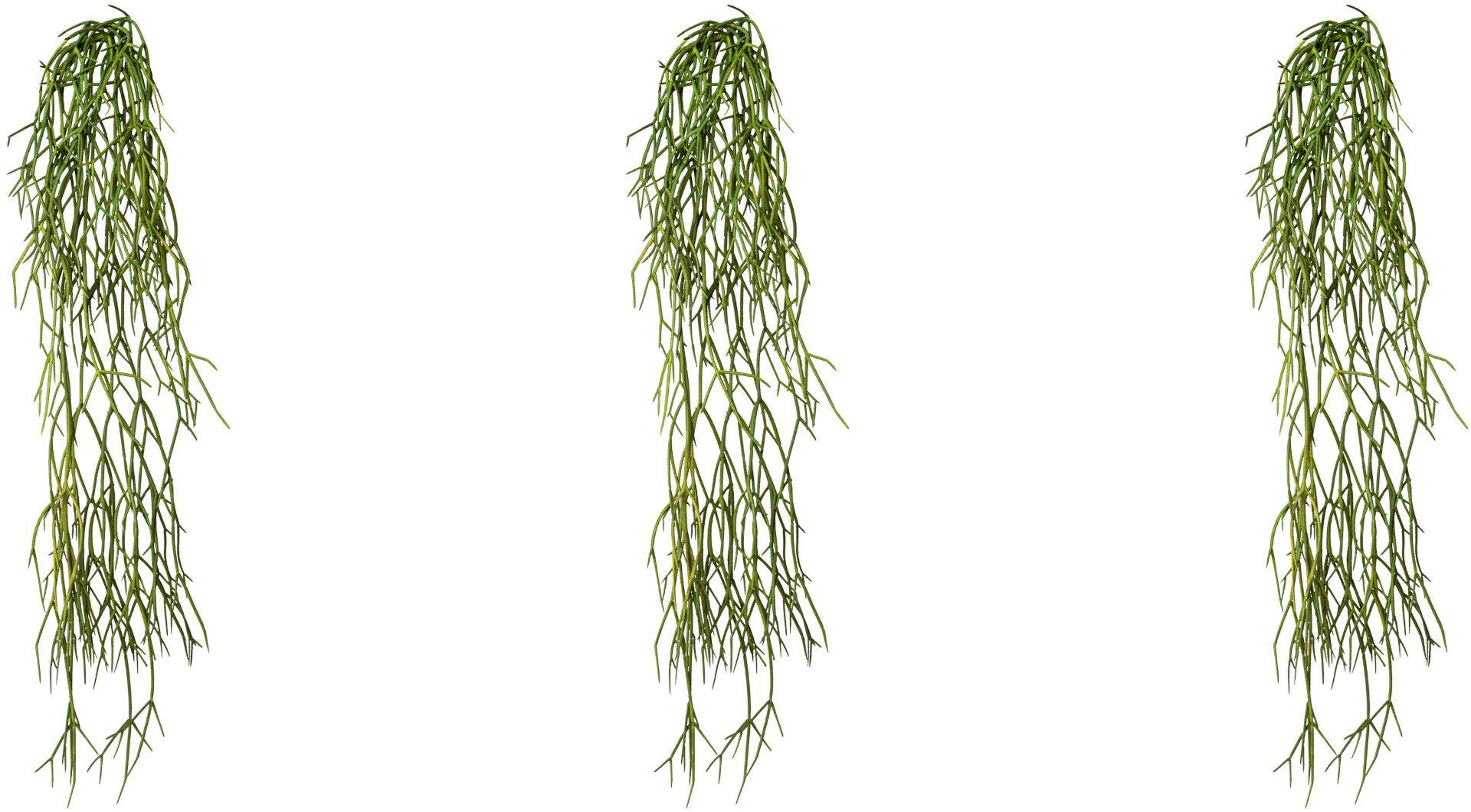 Kunstranke Rhipsalis-Hänger Rhipsalis, Creativ green, Höhe 61 cm