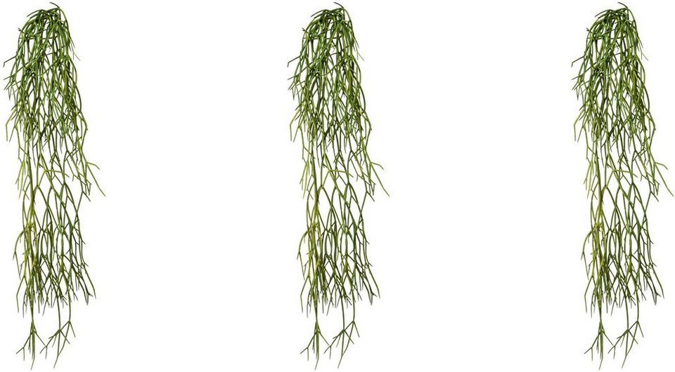 Kunstranke cm 61 Creativ Rhipsalis, green, Höhe Rhipsalis-Hänger