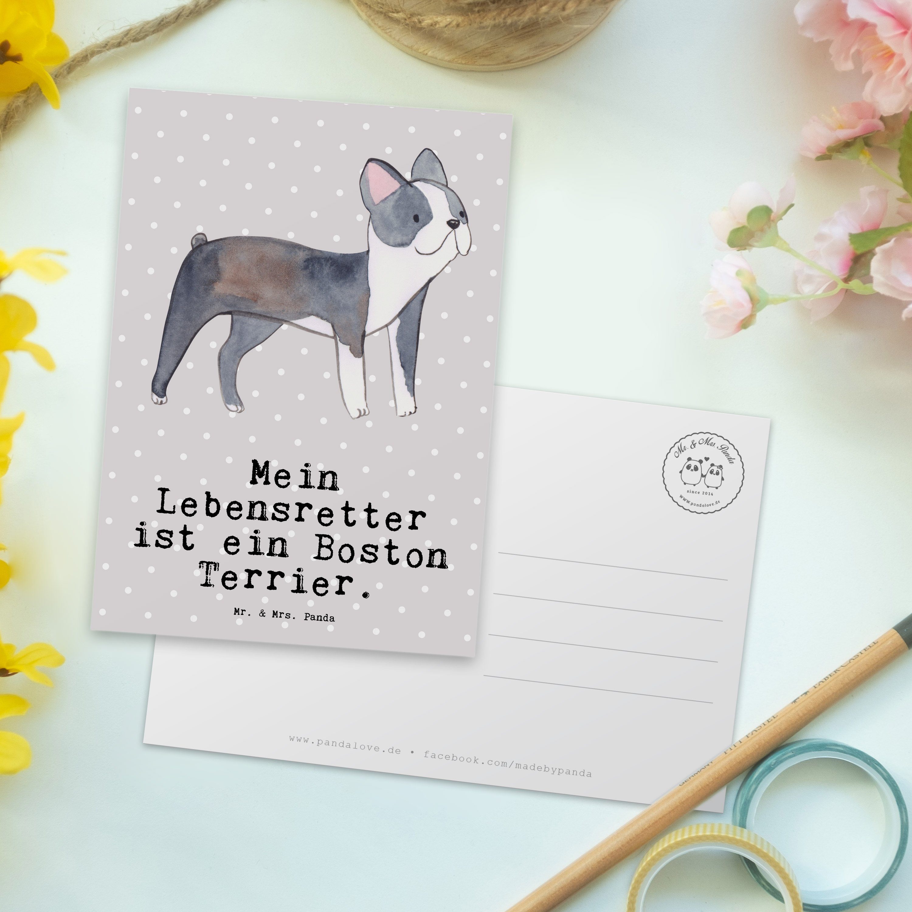 Mr. & Mrs. Panda Postkarte Boston Terrier Lebensretter - Grau Pastell - Geschenk, Geschenkkarte