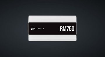 Corsair Series RM750, Fully Modular 80 Plus Gold 750 Watt, EU Version, White PC-Netzteil