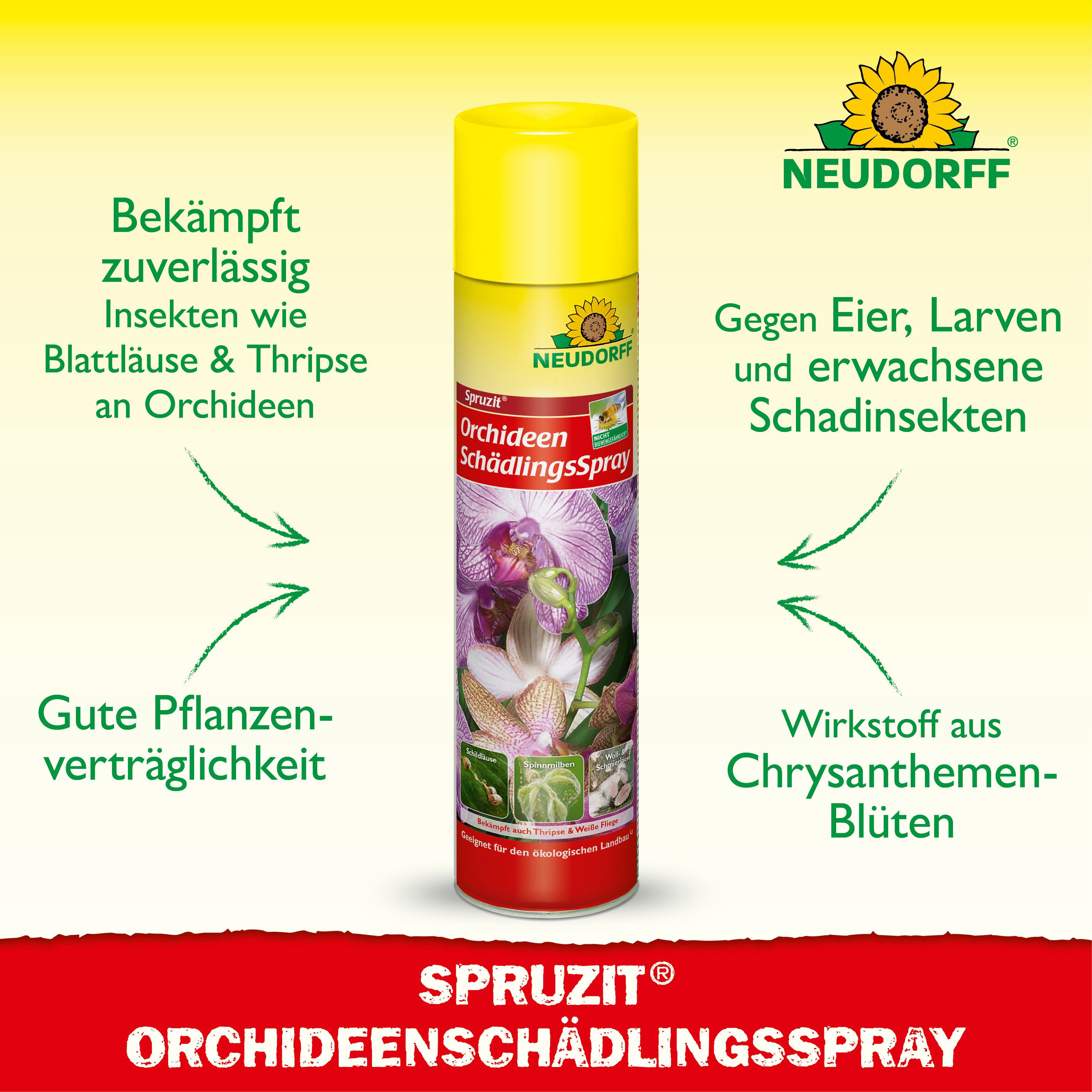 Neudorff Insektenspray Spruzit OrchideenSchädlingsSpray 300 ml, 0.3 l, Wirkt gegen Eier, Larven & ausgewachsene Insekten, SchädlingsSpray gegen typische Schädli – Bild 2 von 5