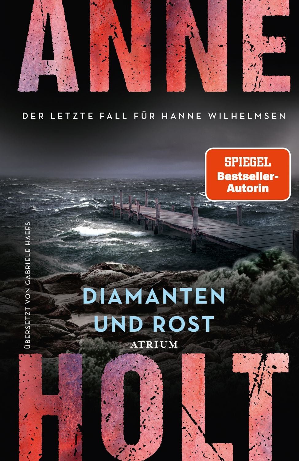 Diamanten und Rost (Hanne Wilhelmsen 13) / Anne Holt