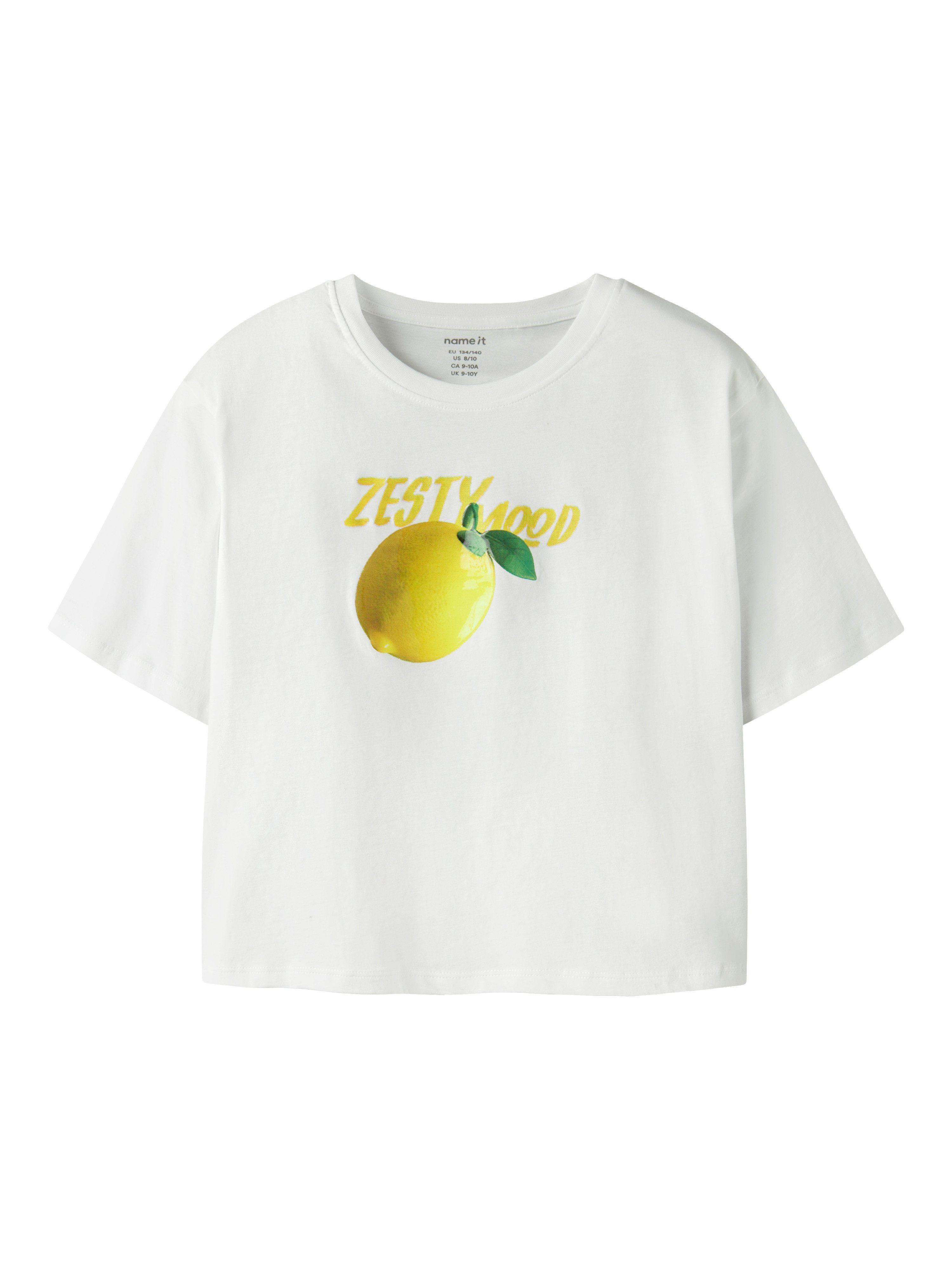 Name It T-Shirt NKFFARINAZ SS NREG SHORT TOP BOX mit sommerlichem Frontmotiv