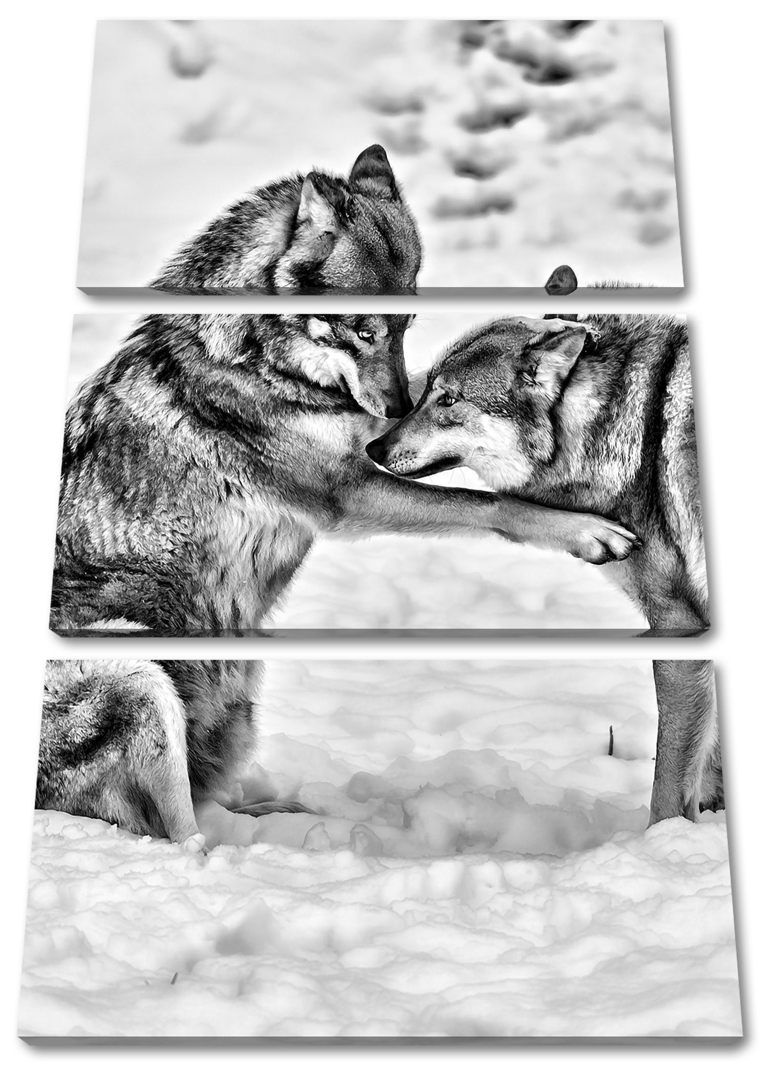 Pixxprint Leinwandbild spielendes Wolfsrudel, spielendes Wolfsrudel 3Teiler (120x80cm) (1 St), Leinwandbild fertig bespannt, inkl. Zackenaufhänger