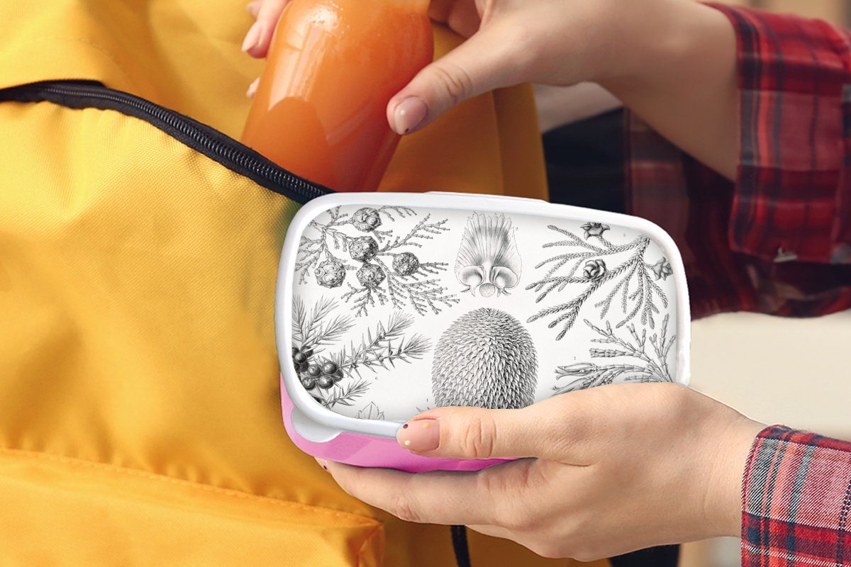 MuchoWow Lunchbox Kunst Snackbox, Kunststoff Haeckel Mädchen, Koniferen (2-tlg), Retro Kunststoff, Erwachsene, - Natur, Brotbox Brotdose - Ernst Kinder, - rosa - für - Illustration