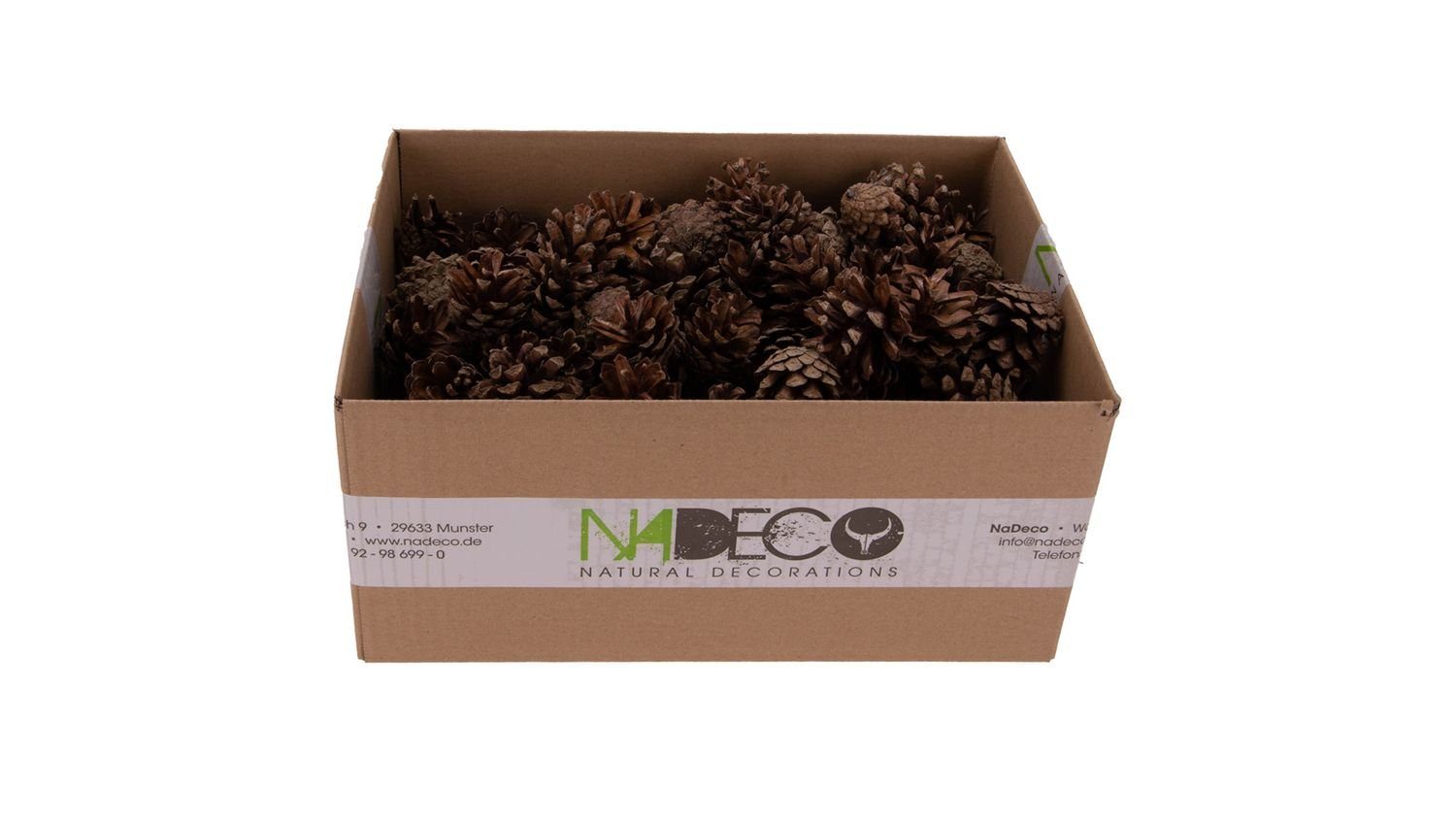 NaDeco Bastelnaturmaterial Sylvestris Zapfen 1kg Waldkiefer Zapfen