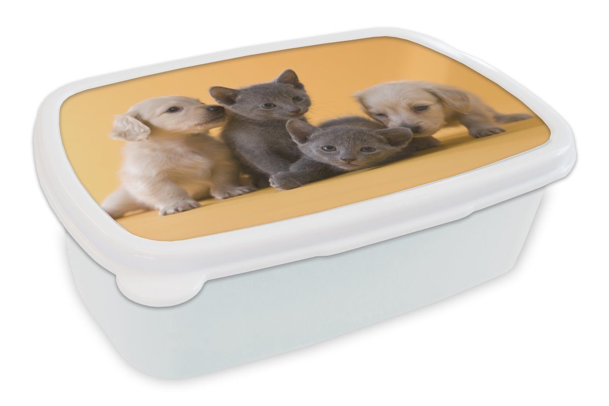 MuchoWow Lunchbox Welpe - Kätzchen - Tiere, Kunststoff, (2-tlg), Brotbox für Kinder und Erwachsene, Brotdose, für Jungs und Mädchen weiß