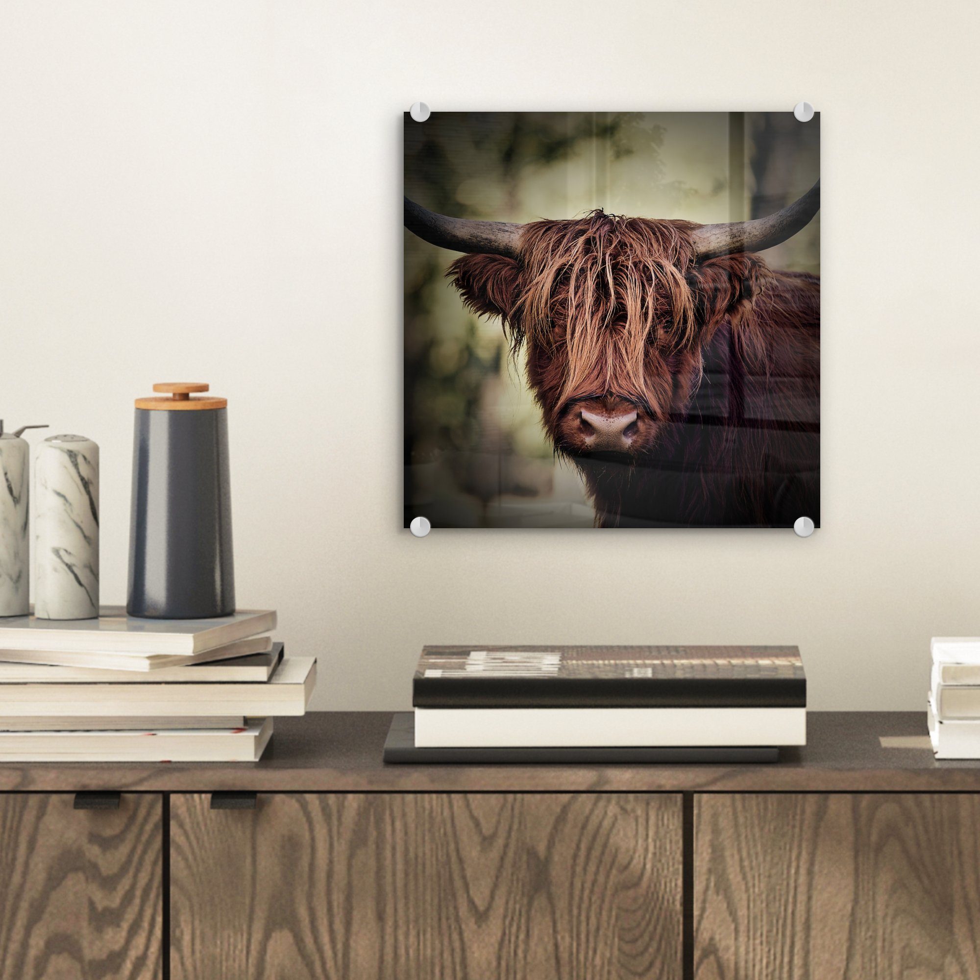 MuchoWow Acrylglasbild Schottischer Hochländer - Licht günstig online kaufen