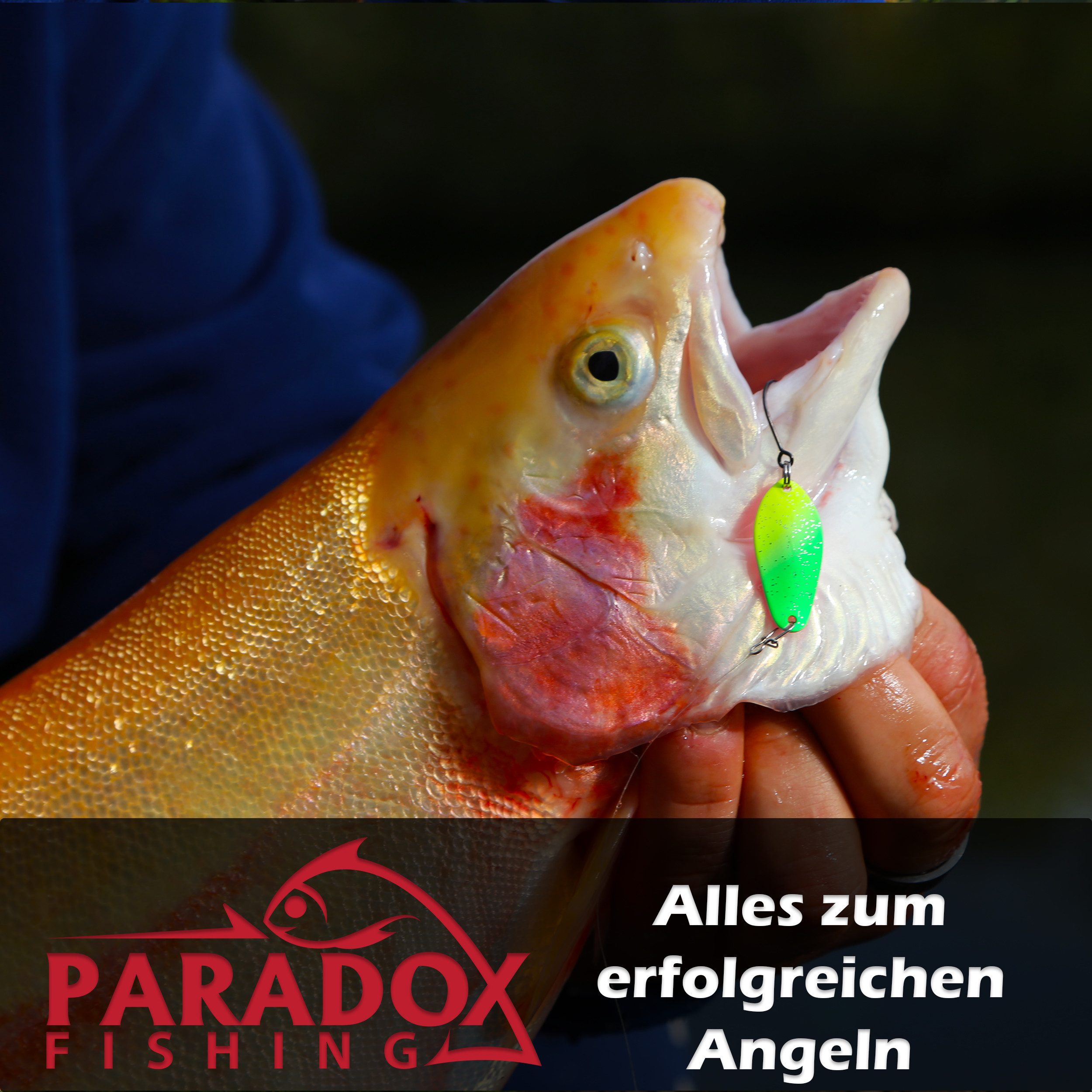Paradox Fishing Kunstköder Neon Forellen Spoon Set 2,5g 8 Stück, (Forellenköder), UV-Aktiv inkl. Snaps – Bild 5 von 5