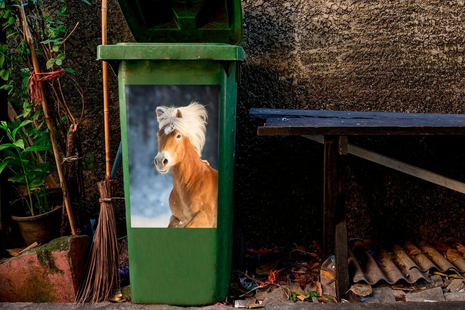 St), Container, Abfalbehälter Haflingerpferd im MuchoWow (1 Mülltonne, Mülleimer-aufkleber, Winter Wandsticker Sticker,