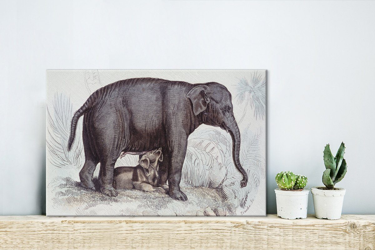 Wanddeko, (1 Leinwandbilder, 30x20 St), OneMillionCanvasses® Baby, Aufhängefertig, cm Wandbild Elefanten einem Illustration Eine mit Leinwandbild eines