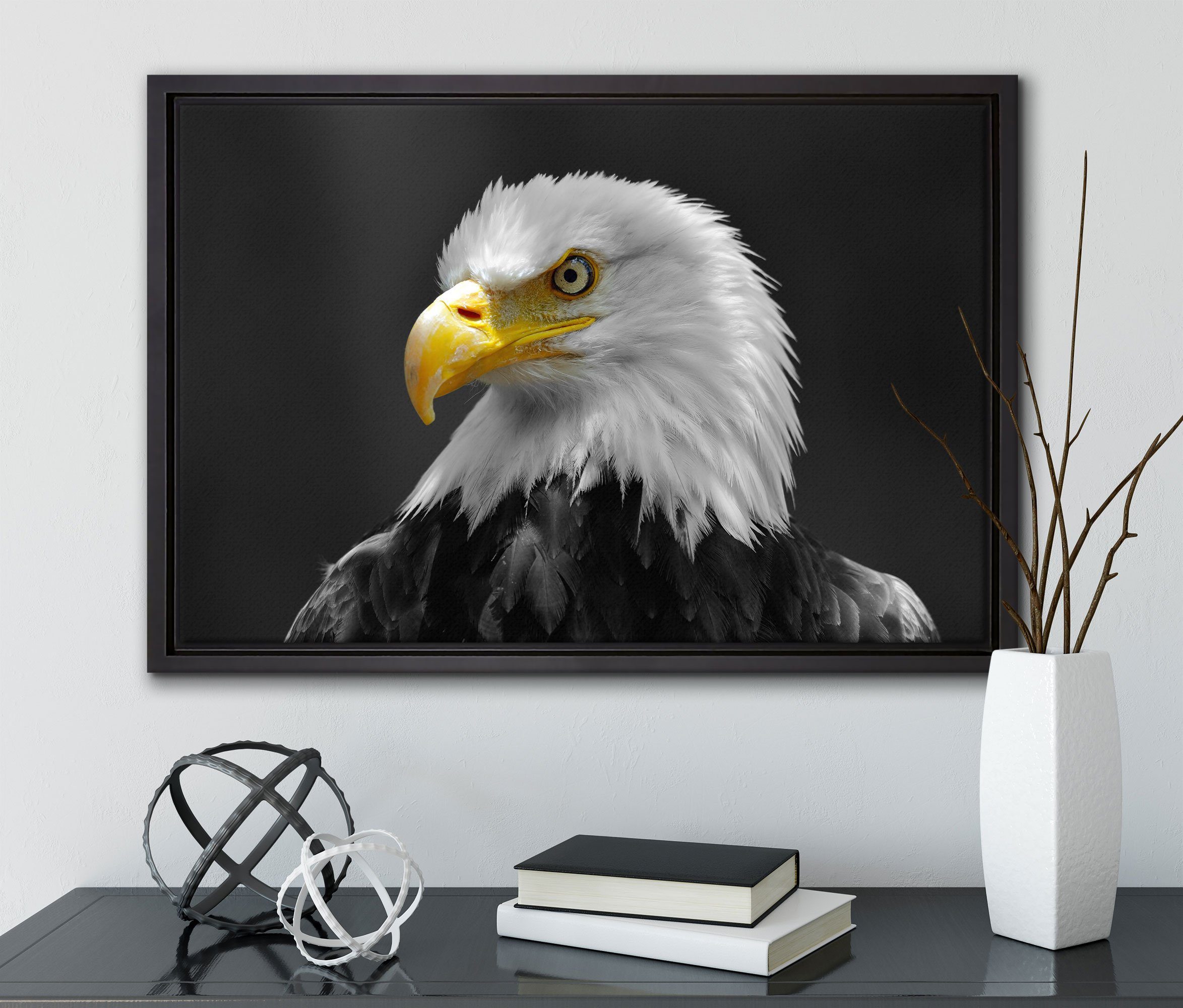 Weißkopfseeadler, einem Leinwandbild Leinwandbild in Wanddekoration Pixxprint inkl. (1 Schattenfugen-Bilderrahmen gefasst, St), Zackenaufhänger eindrucksvoller bespannt, fertig