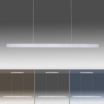 Paul Neuhaus Smarte LED-Leuchte LED Pendelleuchte Q-Cora Smart Home, Smart Home, RGB-Farbwechsel, Memoryfunktion, mit Leuchtmittel, Pendellampe dimmbar per Fernbedienung, Alexa fähig