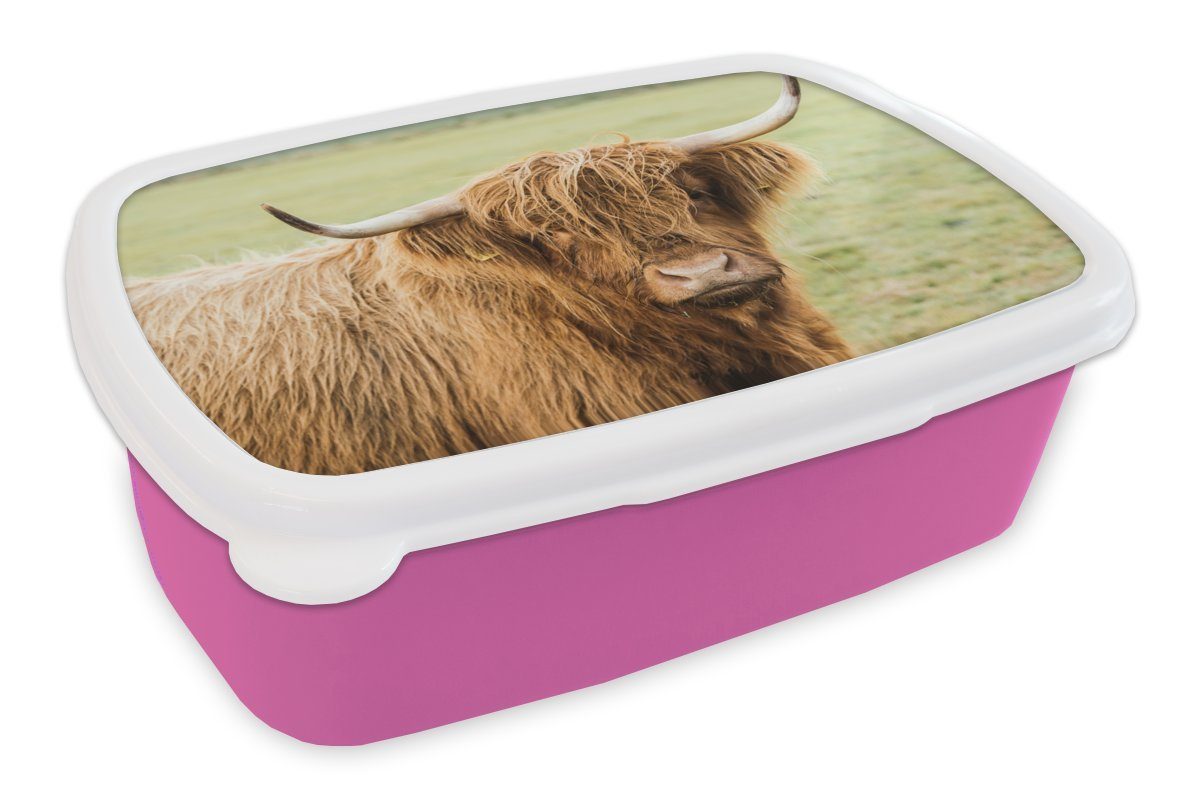 MuchoWow Lunchbox Schottischer Highlander - Horn - Gras, Kunststoff, (2-tlg), Brotbox für Erwachsene, Brotdose Kinder, Snackbox, Mädchen, Kunststoff rosa