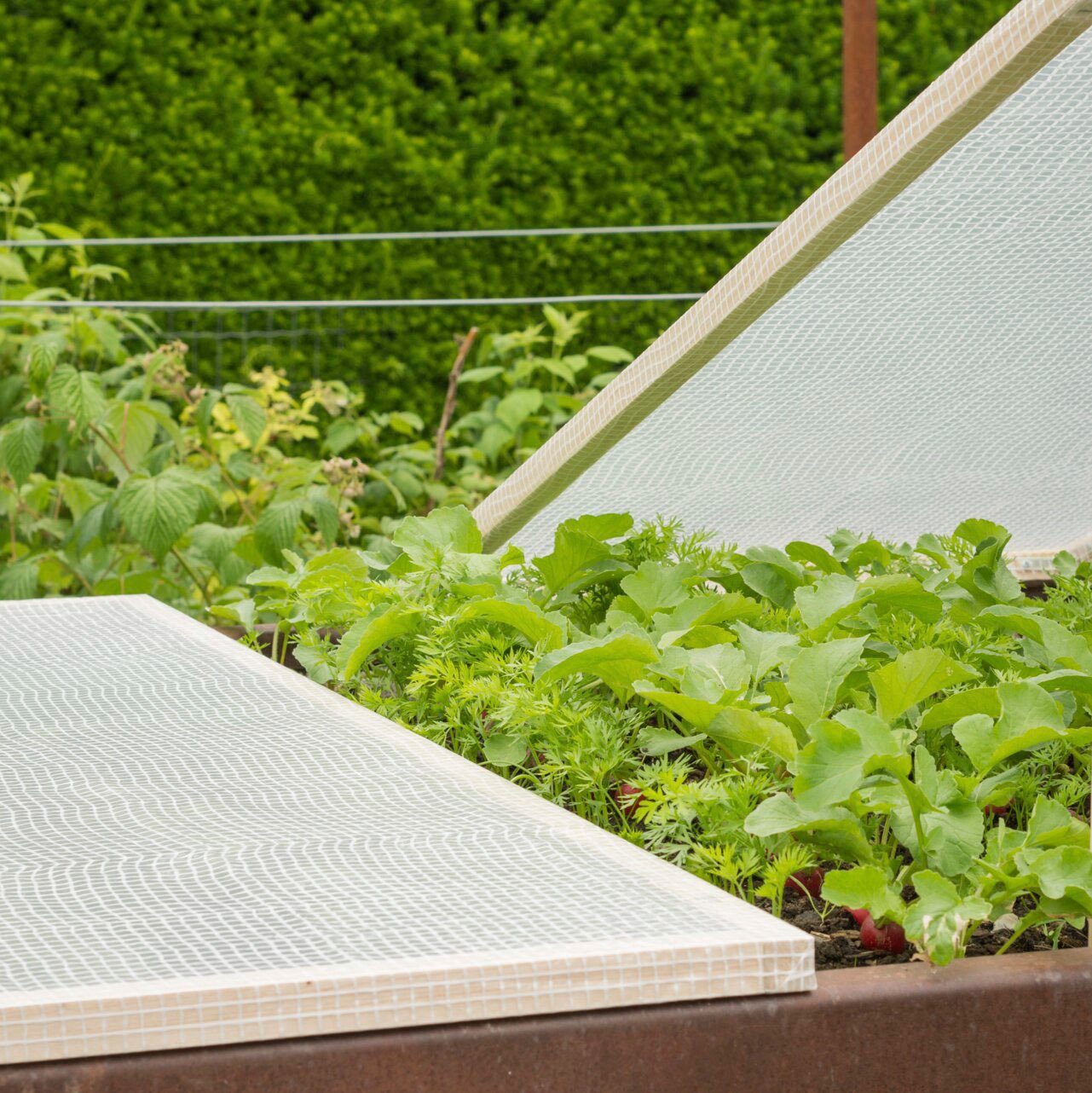 Windhager Gitterfolie für Terrasse und Garten, verwendbar als Abdeckung oder Schutzfolie (1-St), erhältlich in 3 x 2 m oder 6 x 2m, 100 g/m²