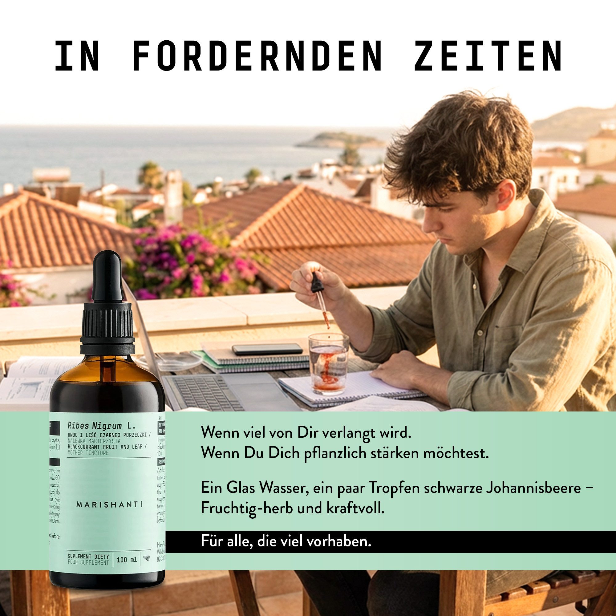 MARISHANTI Schwarze Johannisbeere Extrakt – alkoholfreie Tropfen, pflanzliche Tinktur als Nahrungsergänzungsmittel (Ribes nigrum) à 100 ml, – Vegan