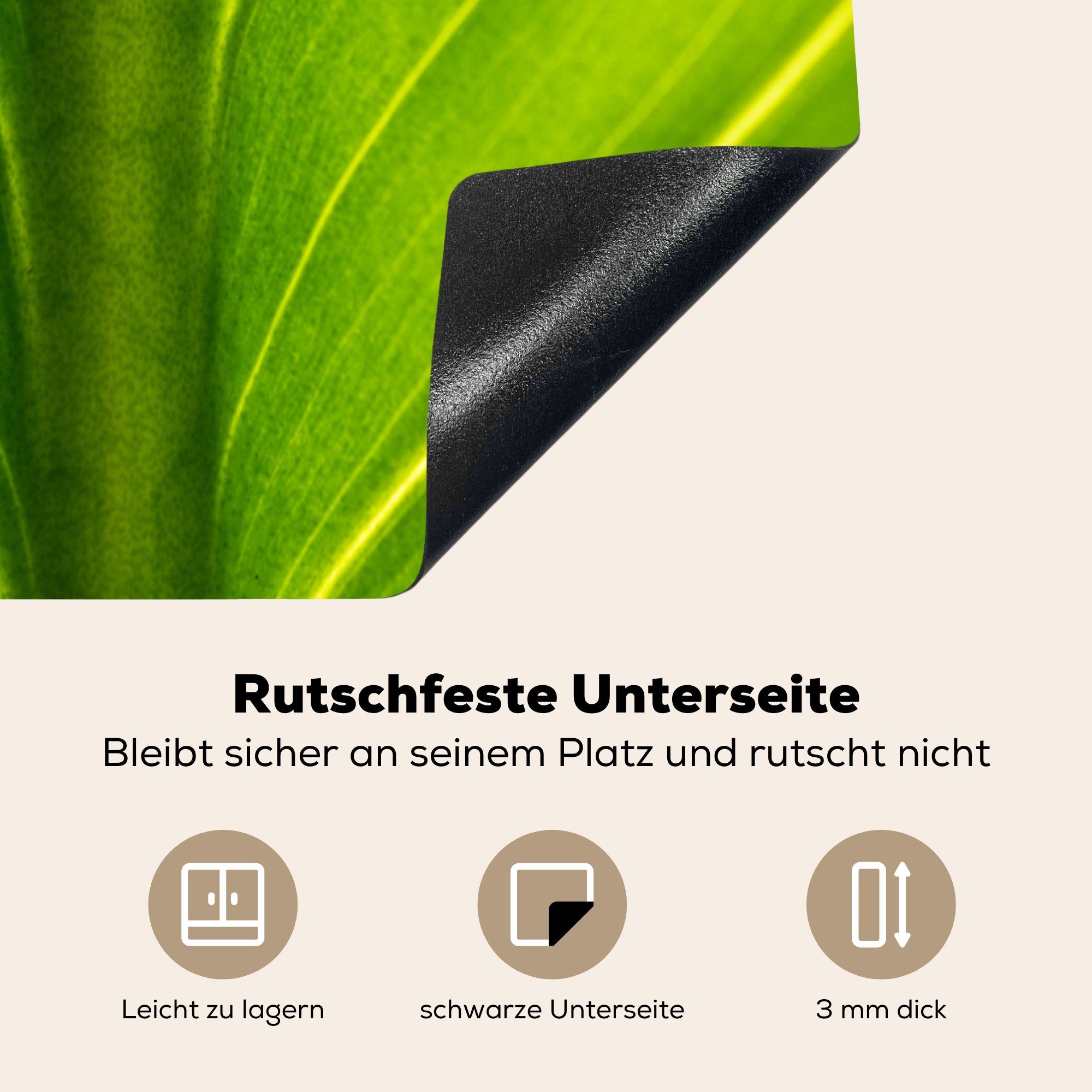 MuchoWow für küche Ceranfeldabdeckung, eines Arbeitsplatte Vinyl, cm, (1 Herdblende-/Abdeckplatte Foto botanischen tlg), 78x78 Blattes, hellgrünen