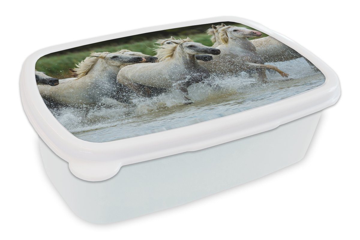MuchoWow Lunchbox Pferde - Wasser - Natur, Kunststoff, (2-tlg), Brotbox für Kinder und Erwachsene, Brotdose, für Jungs und Mädchen weiß