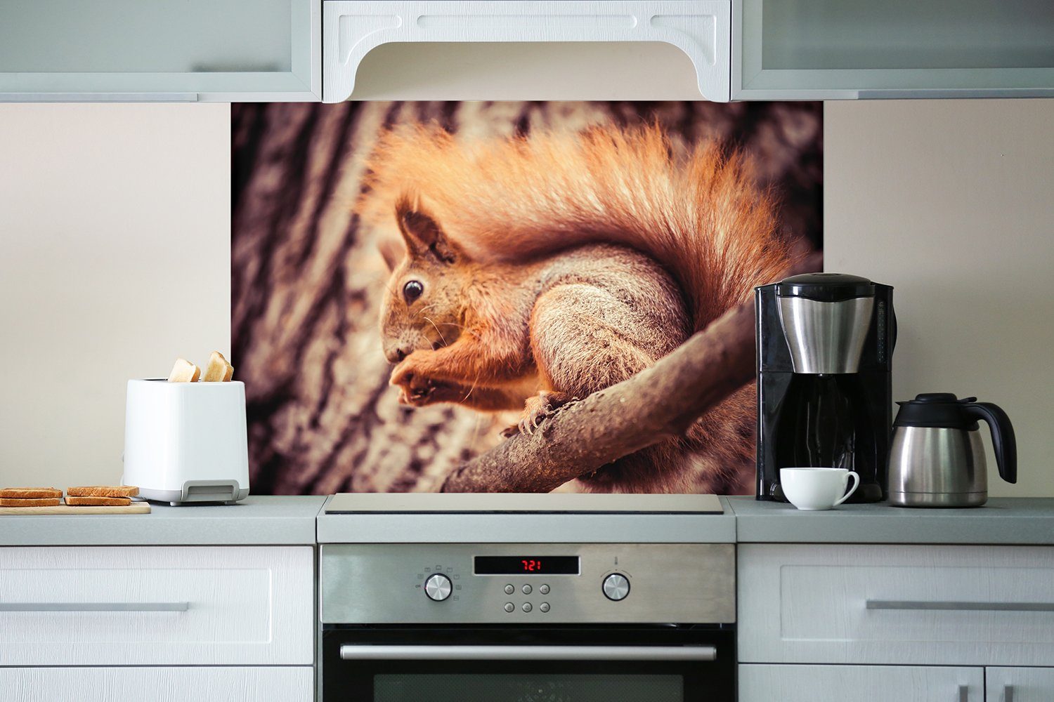 Ast, (1-tlg) einem auf Küchenrückwand Eichhörnchen Niedliches Wallario