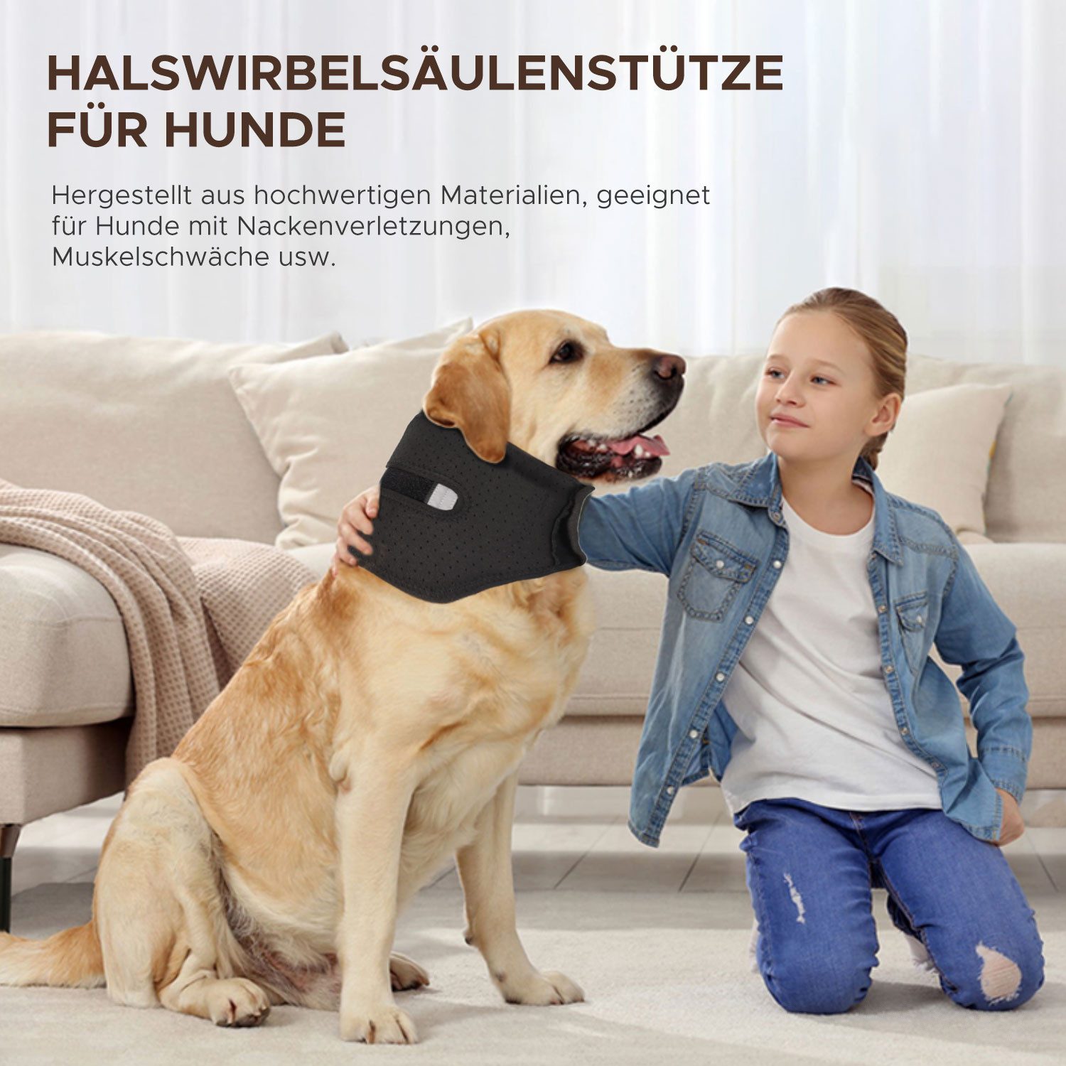 Refttenw Schutzkragen Verstellbare Hundehalskrause, atmungsaktiv, reflektierendes Design