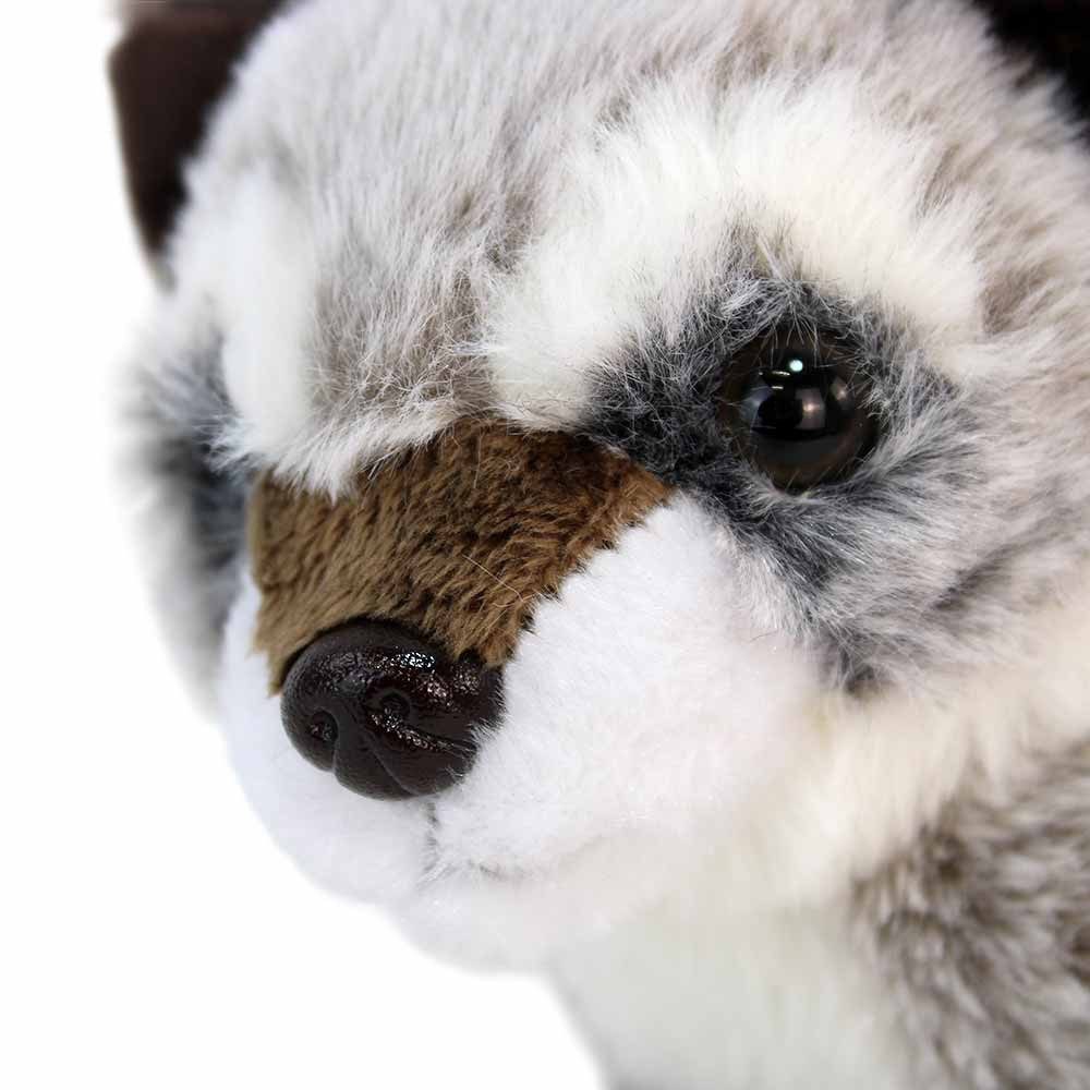 Heinrich Bauer Kuscheltier Waschbär Kuscheltier "Willi" - ca. 24 cm (1-St)