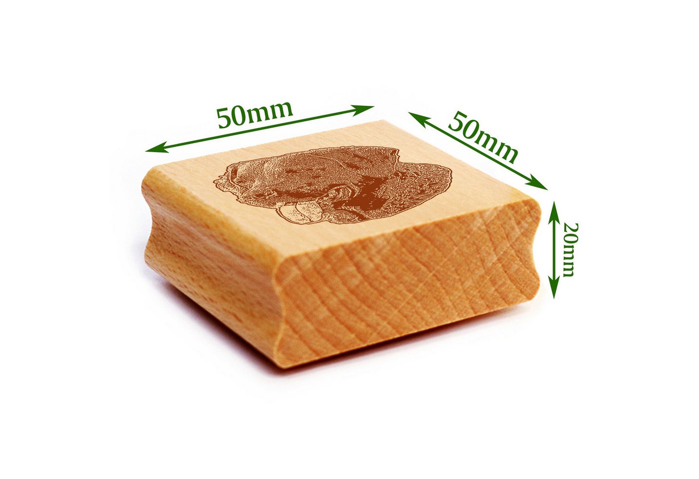 Thumbnail - Dekolando Stempel Motivstempel Chesapeake Bay Retriever Stempel Hund Holzstempel 48 x 4