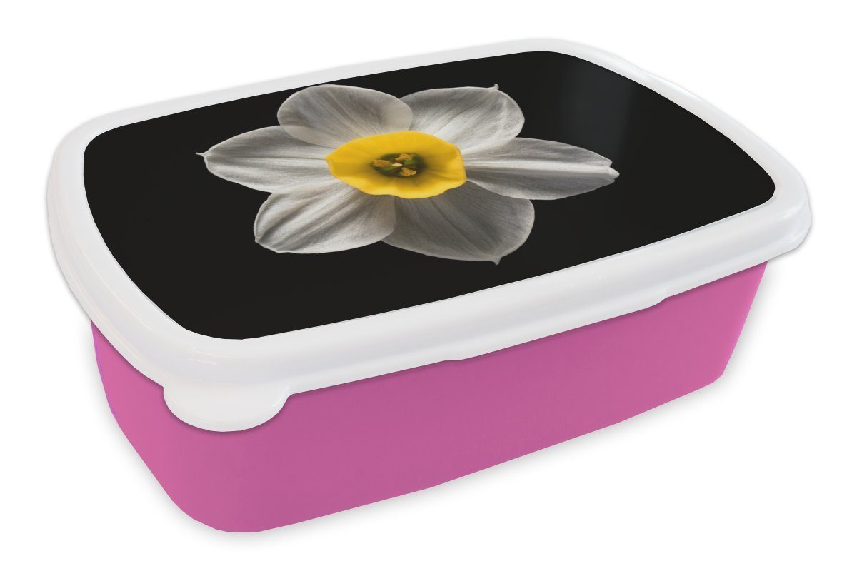auf Brotdose Eine Snackbox, Lunchbox Hintergrund, für Brotbox Erwachsene, Mädchen, Kunststoff, schwarzem (2-tlg), weiße MuchoWow rosa Narzissenblüte Kinder, Kunststoff