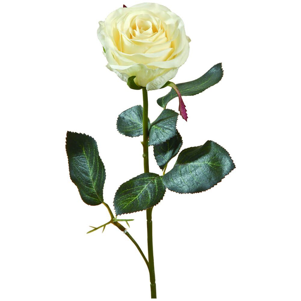 Rose Stk cremeweiß Höhe Kunstpflanze Madame cm, 1 HOBBY, 37 Stielrose Indoor gelb Kunstblume matches21 37 cm HOME & Rosen,
