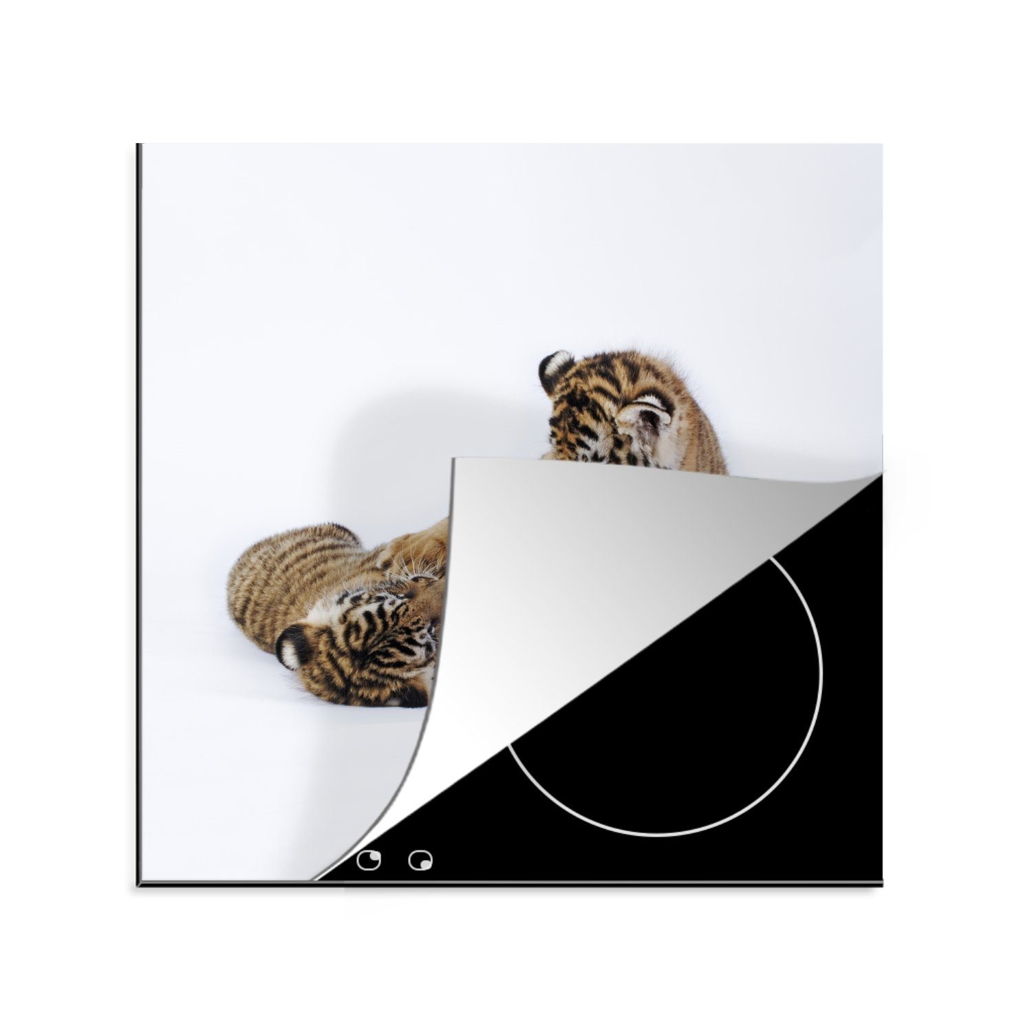 MuchoWow Herdblende-/Abdeckplatte Zwei spielende Tigerbabys in einer weißen Umgebung, Vinyl, (1 tlg), 78x78 cm, Ceranfeldabdeckung, Arbeitsplatte für küche